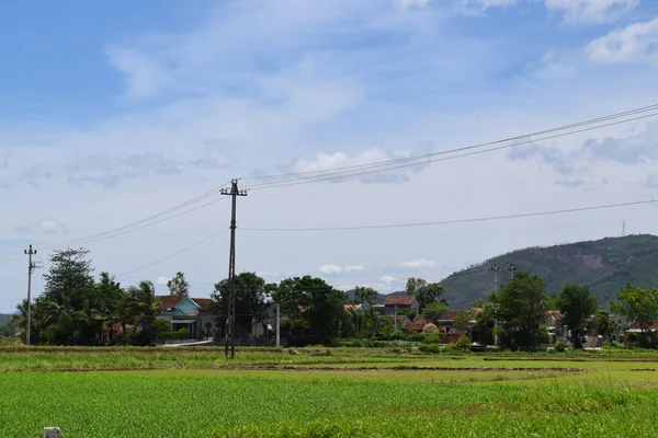 Landelijk dorp met rice paddy field in vietnam — Stockfoto