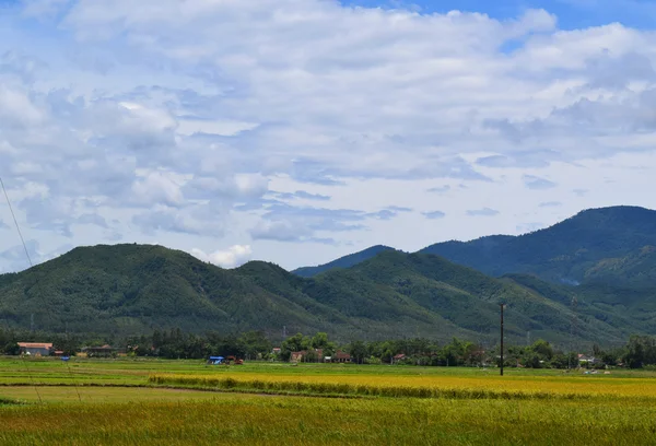 Landelijk dorp met rice paddy field in vietnam — Stockfoto