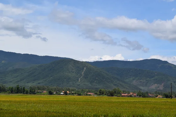 Landelijk dorp met rice paddy field in vietnam — Stockfoto