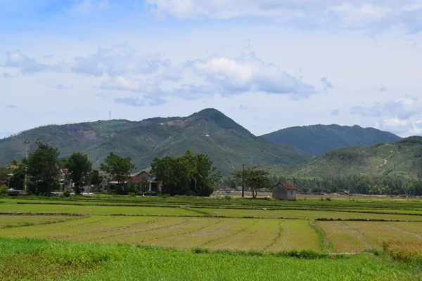 Pirinç çeltik alan Vietnam ile kırsal köy — Stok fotoğraf