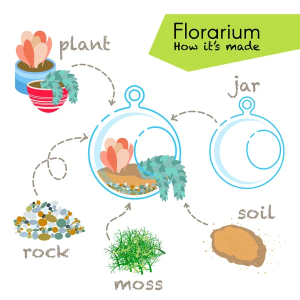 Zelfstudie hoe Florarium te maken. — Stockvector