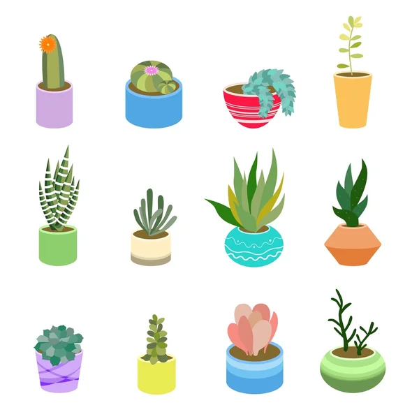 異なる色のポットの多肉植物とサボテン ストックベクター C Funfirefly Yandex Ru 異なる色のポットの多肉植物とサボテン ストックベクター C Funfirefly Yandex Ru