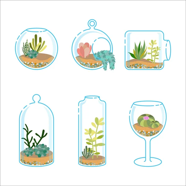 Set de florarios planos con diferentes suculentas y cactus para el diseño de interiores modernos . — Vector de stock