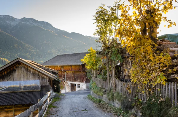 Narrow Mountain Road in Autumn — Stock Photo, Image