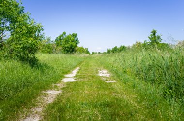 Açık bir bahar gününde kırsal takip