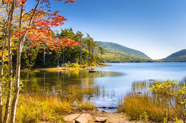 Jezero za jasného dne na podzim — Stock fotografie