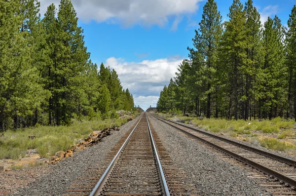 Ferroviária para o Horizonte — Fotografia de Stock