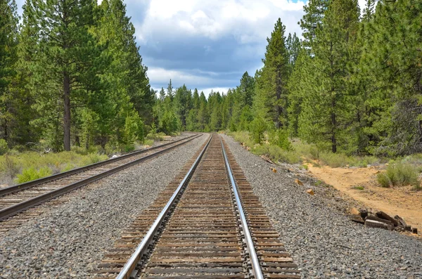 Straight Stretch of Railroad Tracks — Stock Photo, Image