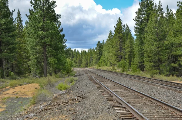 Railway tracks on a cloudy day — Stock Photo, Image