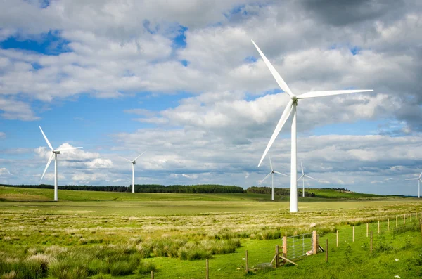 Вітрові турбіни для генерування електроенергії — стокове фото