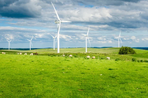 Parc éolien dans un champ herbeux par une journée nuageuse — Photo