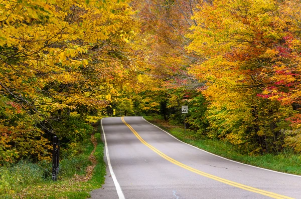 Estrada através de uma floresta de outono — Fotografia de Stock