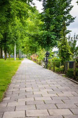 Ağaçları ile kaplı ıssız yol