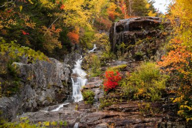 Sonbaharda yaprak döken bir ormanda güzel bir şelale. Silver Cascade, Crawford Notch, NH, ABD.