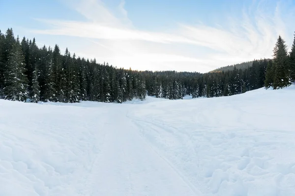 Leeg Besneeuwd Pad Door Een Prachtig Winterlandschap Bij Zonsondergang — Stockfoto