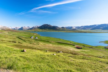Denize doğru uzanan çimenli yamaçlı kıyı manzarası ve Kuzey İzlanda 'da güneşli bir yaz gününde arka planda karla kaplı dağlar.