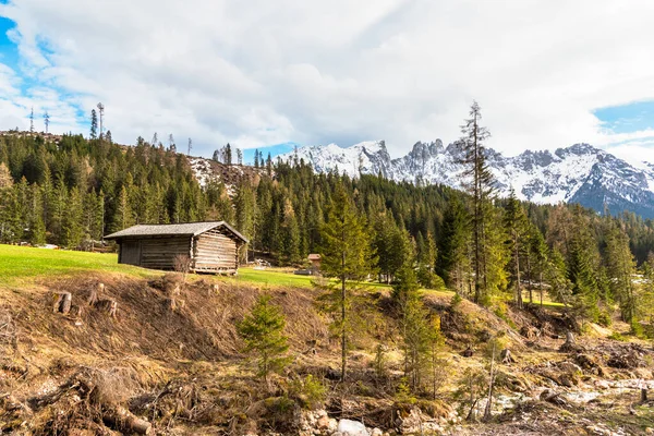 Drewniana Chatka Trawiastym Zboczu Sosnowym Lasem Śnieżnymi Szczytami Tle Alpach — Zdjęcie stockowe