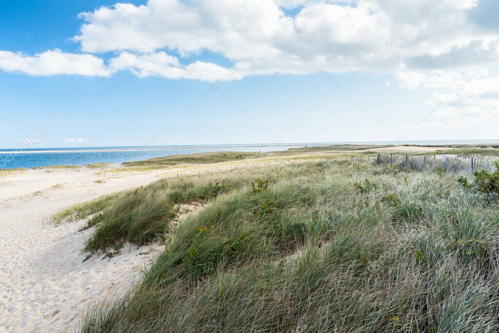 View of a grassy sand dunes along a wild coast on a sunny autumn day. Cape Cod, MA, USA.