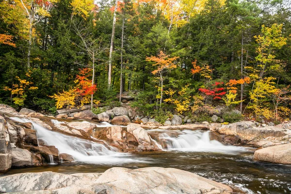 Pequena Cachoeira Uma Floresta Uma Manhã Outono Ensolarada Cor Outono — Fotografia de Stock