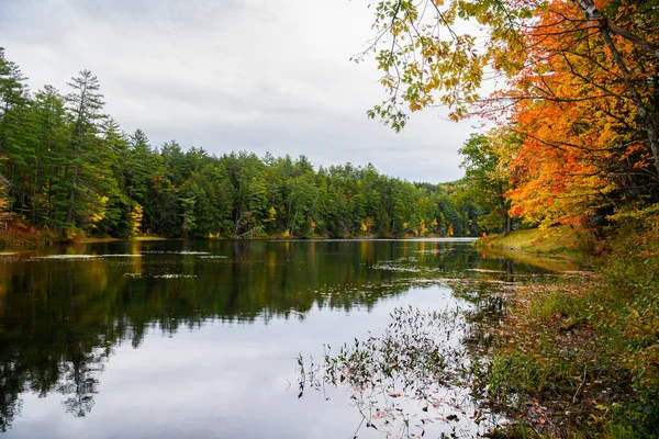 Hermoso Lago Montaña Con Costas Boscosas Día Nublado Otoño Algunos — Foto de Stock