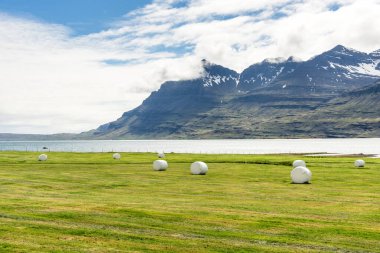 Parçalı bulutlu bir yaz gününde İzlanda 'da fiyordun kıyısına sarılmış saman balyalarıyla dolu çimenli bir tarla. Yüksek dağlar arka planda görülebilir. Doğu İzlanda.