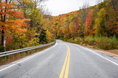 Sonbahar yapraklarının zirvesinde, bulutlu bir sonbahar gününde renkli bir ormanın içinden dağ yolunu boşaltın. Pinkham Notch, NH, ABD.