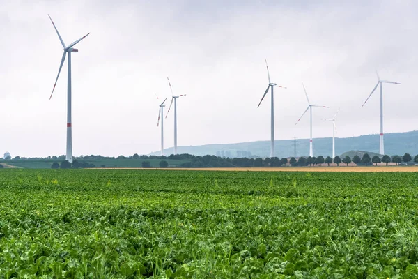 Blick Auf Einen Windpark Auf Dem Land Einem Nebligen Sommertag — Stockfoto