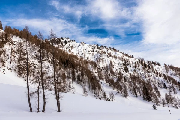 一部曇りの冬の日にヨーロッパアルプスの雪に覆われた斜面 — ストック写真