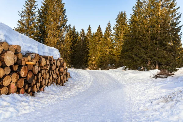 Pokryta Śniegiem Sterta Kłód Dla Przemysłu Drzewnego Wzdłuż Wąskiej Śnieżnej — Zdjęcie stockowe