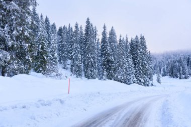 Sisli bir kış gününde, karlı bir ormanda buzlu dağ yolu.