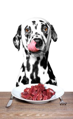 köpek aç ve yemeye gidiyor