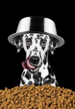 köpek kafasını üzerinde bir kase ile ea için gidiyor