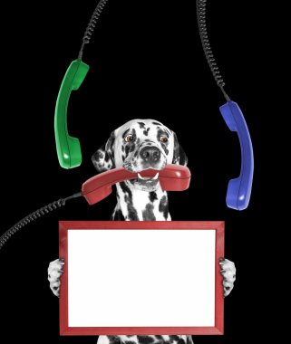 onun pençeleri ve telefon ağzında çerçeve köpek tutar