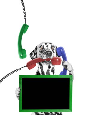 onun pençe ve telefon onun ağız ve pençe çerçeve köpek tutar 