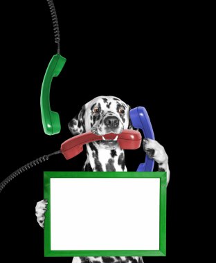 onun pençe ve telefon onun ağız ve pençe çerçeve köpek tutar