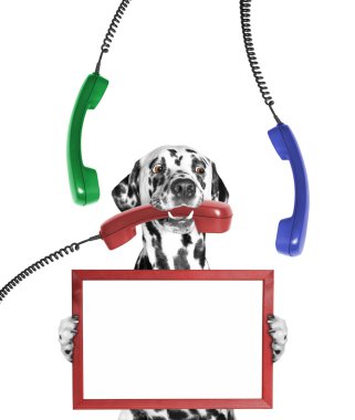 onun pençeleri ve telefon ağzında çerçeve köpek tutar 