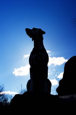 köpek gibi bir heykel bir arka ışık görünüyor