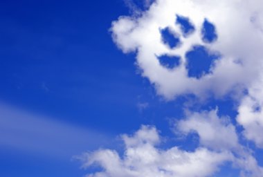 köpek pençe izi gökyüzü bulutlar