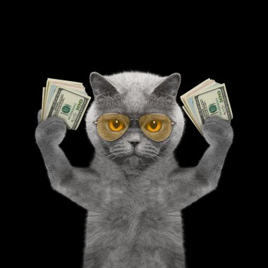 Kedi içinde gözlük onun pençeleri çok para tutar. 