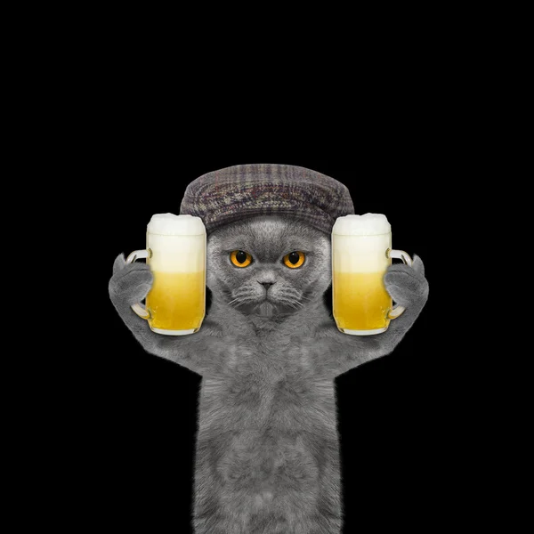 猫喝啤酒和问候某人 — 图库照片