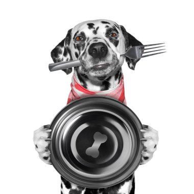 köpek yemek ve yay ve çatal tutmak istiyor 