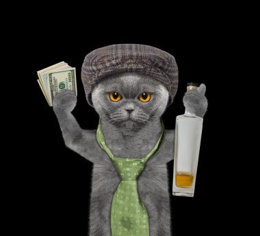 Eğleniyor ve alkol kedi 