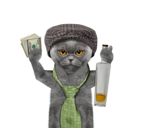 Eğleniyor ve alkol kedi 