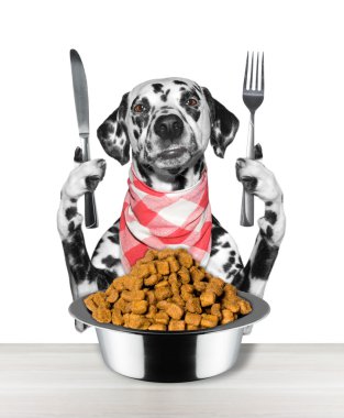 köpek yemek ve bıçak ve çatal 