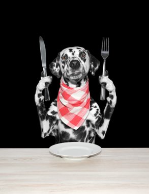 köpek yemek ve bıçak ve çatal tutun bitmiş 