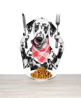 Köpek yiyecek evde beslenen hayvan yiyecek kurutulur