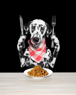 Köpek yiyecek evde beslenen hayvan yiyecek kurutulur 