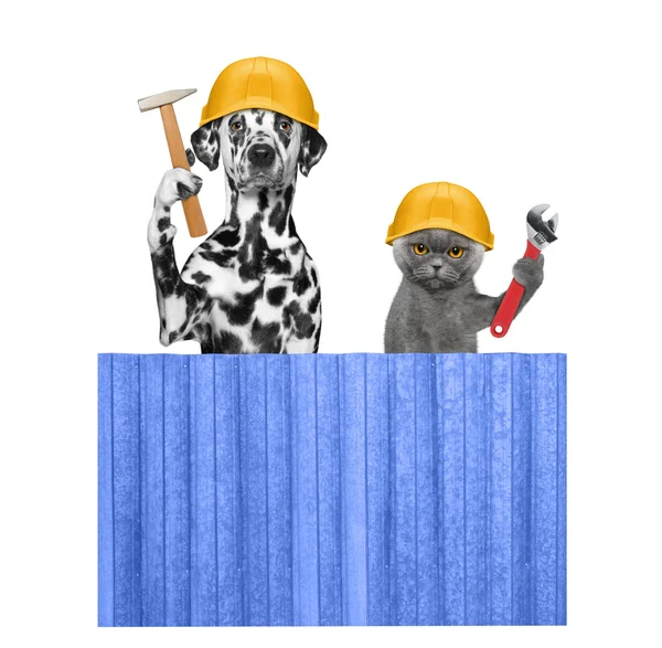 Строители собак и кошек с инструментами в лапах — стоковое фото