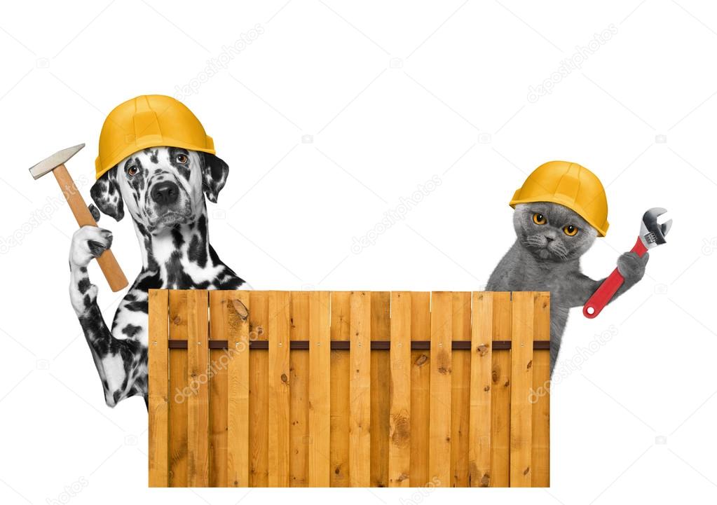 Строители собак и кошек с инструментами в лапах стоковое фото
