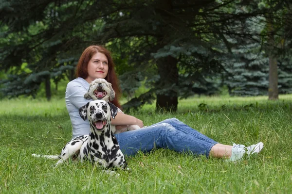 Los perros y su dueño sentado en la hierba (dálmata en foco ) —  Fotos de Stock